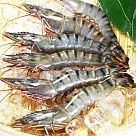 【幸福小胖】鮮凍特級草蝦2盒(10尾/不含冰280g/盒)