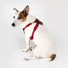 SPUTNIK|寵物胸背帶 Harness 紅 (S+)