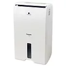 Panasonic國際牌11公升ECONAVI空氣清淨除濕機 F─Y22EN