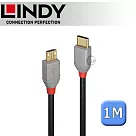 LINDY 林帝 ANTHRA USB 2.0 Type─C/公 to Micro─B/公 傳輸線 1m (36891)