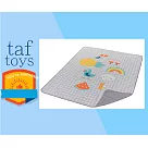 taf toys 遊戲墊系列【室外遊戲墊】