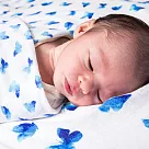 美國 Malabar baby Dohar有機棉包巾(1入) ─湛藍舞蝶