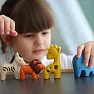 泰國Plantoys 迷你公仔 ─ 野生動物組