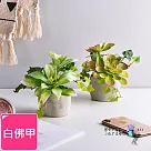【Meric Garden】高仿真多肉植物療癒手工水泥小盆栽_白佛甲