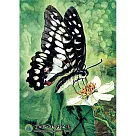 【台製拼圖】HPY0108─005 風景系列 陽明山國家公園 蝶戀花 (108片)