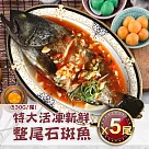 【優鮮配】特大活凍新鮮整尾石斑魚5尾(530g/尾) 免運組