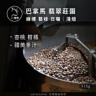 【JC咖啡】巴拿馬 翡翠莊園 綠標私藏精選Jaramillo 藝妓日曬 咖啡豆1包│淺焙─1/4磅(115g)莊園咖啡 新鮮烘焙