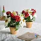【Meric Garden】高仿真台灣手工限定閃亮聖誕紅小盆栽