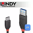 LINDY 林帝 Black USB 3.2 Gen 2 Type─C/公 to Type─A/公 傳輸線 1m (36916)