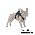 【GoPro】Fetch 寵物專用胸背帶 ADOGM─001─[正成公司貨]