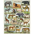 美國 Cavallini & Co. 1000片拼圖 動物世界