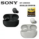 SONY 索尼 WF─1000XM5 主動式降噪 真無線入耳式耳機 台灣公司貨 銀色