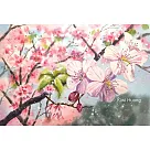 【玲廊滿藝】黃子芸Kiwi─櫻花擁簇18x26cm
