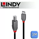 LINDY 林帝 ANTHRA USB2.0 Type─C/公 to Type─B/公 傳輸線 3m (36943)
