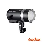 Godox 神牛 AD300Pro 外拍燈 正成公司貨