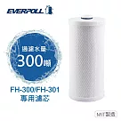 【EVERPOLL】全戶濾淨雙效濾芯FH─030(FH─300/301專用濾芯)