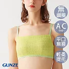【日本GUNZE】俏麗格紋平口無痕無鋼圈內衣(TC7155─YEL) L 黃色