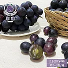 預購【聚甜】彰化溪湖巨峰葡萄2.5斤禮盒x4箱(約2~3包/箱_產地直送_友善耕種_冷藏宅配)