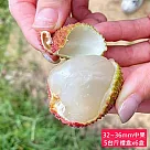 預購【荔莊果園】高雄大樹剪枝玉荷包32mm~36mm特級中果禮盒x6盒(5斤/盒_冷藏宅配_產地直送 )