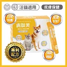 可蒂毛毛─膚肽美【3護型皮膚保健品】犬貓通用