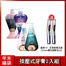 年末福袋 PUMPING按壓式牙膏*2送牙刷 冰澈薄荷+BIOME雙效