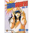 湘南純愛組 12