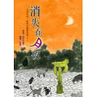 消失在月夜