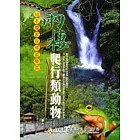 知本國家森林遊樂區兩棲爬行類動物