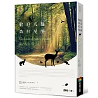 歡迎光臨森林祕境