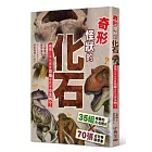 奇形怪狀的化石：猜猜它來自哪隻恐龍或其他古生物？