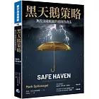 黑天鵝策略：無畏金融風暴的避險投資法