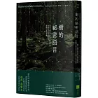 樹的祕密語言：森林守護者傳授的另類語言課，聆聽慢活老樹用生命訴說的自然教學（二版）