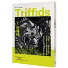 三尖樹時代