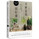 水耕盆栽超好養：無土不招蟲，加水就能活，輕鬆打造室內綠意〔2025暢銷改版〕