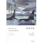鯨背月色