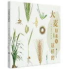 大麥原來是這樣的