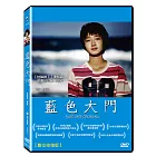藍色大門 (DVD)