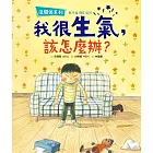 【沒關係系列】我很生氣，該怎麼辦？ (電子書)