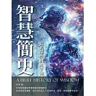 智慧簡史：從大爆炸到元宇宙 (電子書)