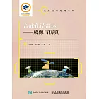 合成孔徑雷達——成像與仿真 (電子書)