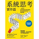 系統思考實作篇：一眼看清規律背後的結構和邏輯，解決現實世界中的複雜問題 (電子書)