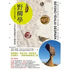 野柳學：走向未來的臺灣——21世紀環境觀與永續實踐 (電子書)