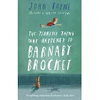 The Terrible Thing That Happened to Barnaby Brocket
