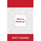 What Is Meaning?