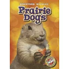 Prairie Dogs