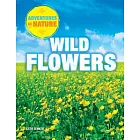 Wild Flowers