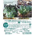 冬型珍奇多肉植物最新情報完全專集