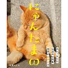 貓咪蛋蛋寫真手冊：にゃんたまω