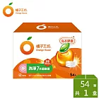 【橘子工坊】天然制菌洗衣膠囊/洗衣球-低敏/洗淨7大過敏原(54顆/盒)