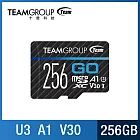 TEAM 十銓 GO Micro SDXC 記憶卡256GB(U3 V30 A1)